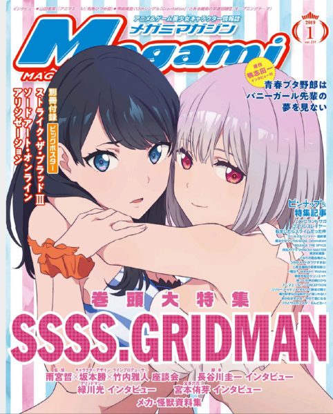 Megami Magazine Vol 224