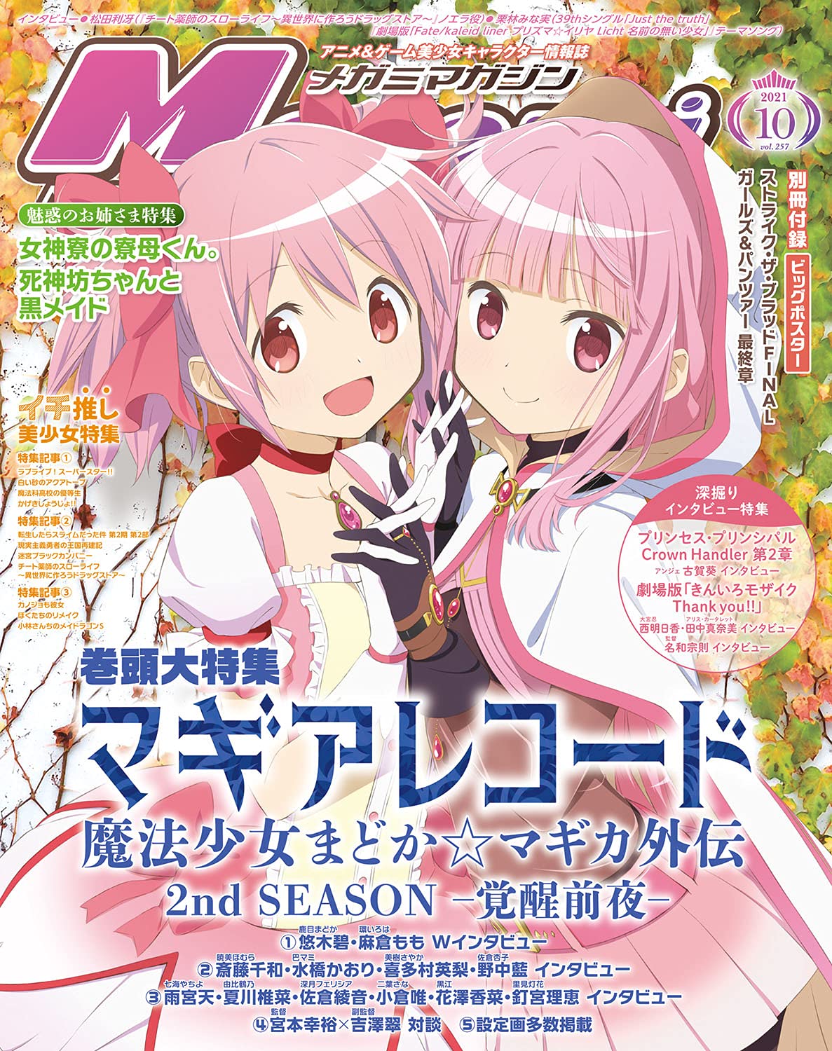 Megami Magazine (メガミマガジン)